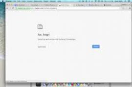 Google Chrome for Business 19