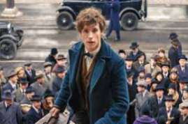 Fantastic Beasts and Where to Find