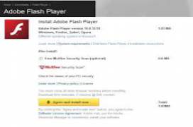 Adobe Flash Player for IE 15