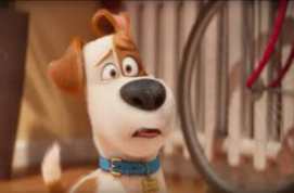 The Secret Life of Pets 2016